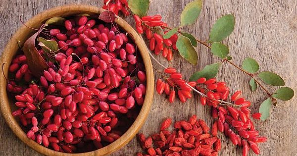 Η διατροφική αξία του περιβόητου gojiberry