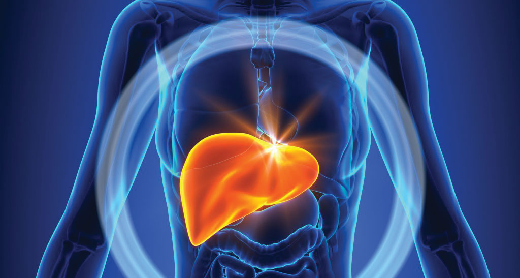 liver