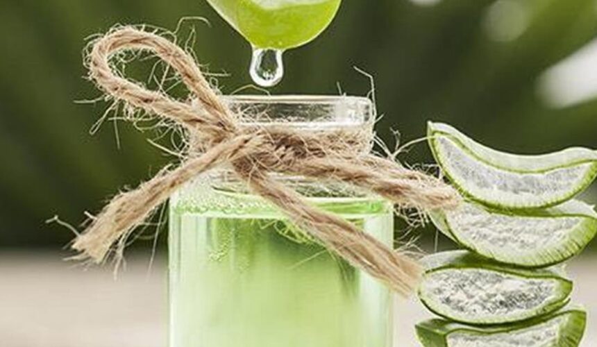 50486-aloe-new-660