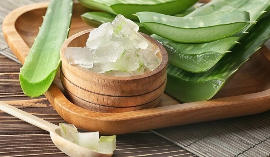 aloe-vera-dyomagazine