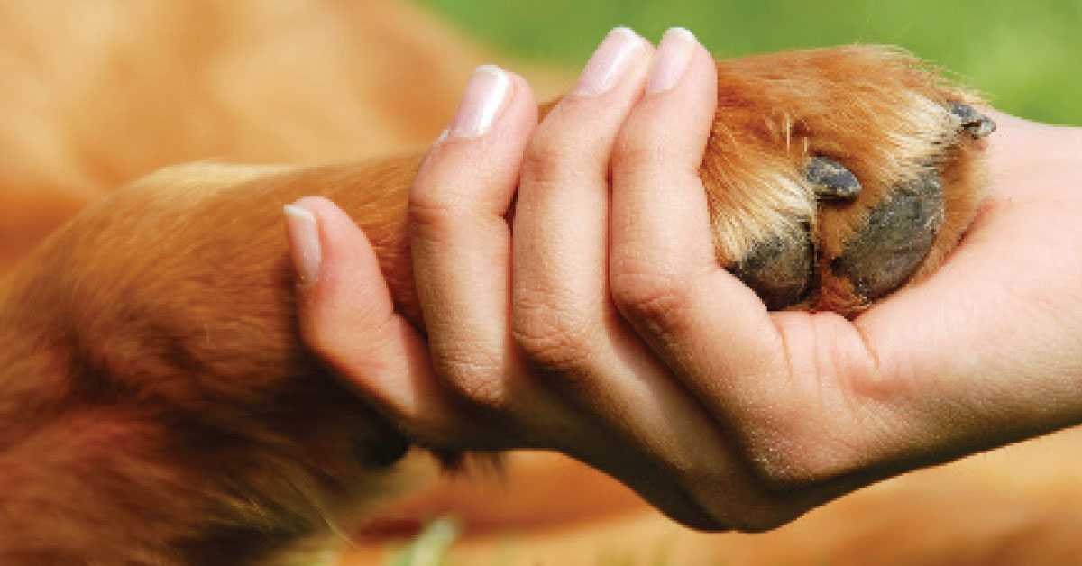 paw hand