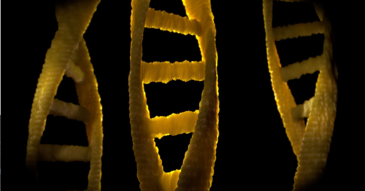 dna helix