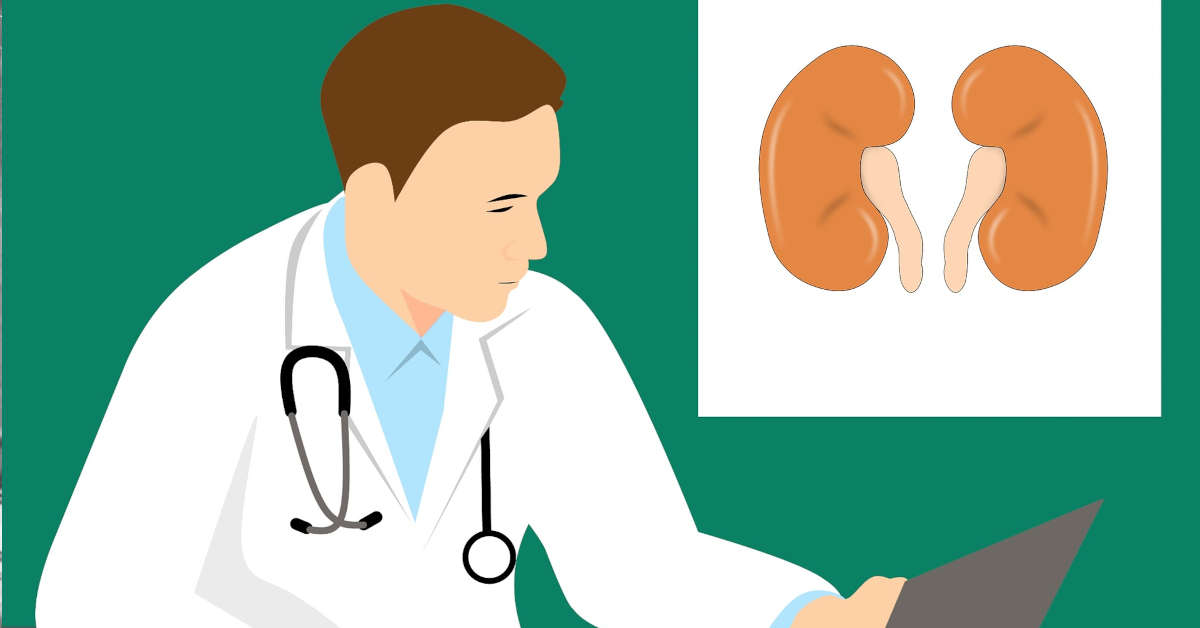 clipart doctor kdneys