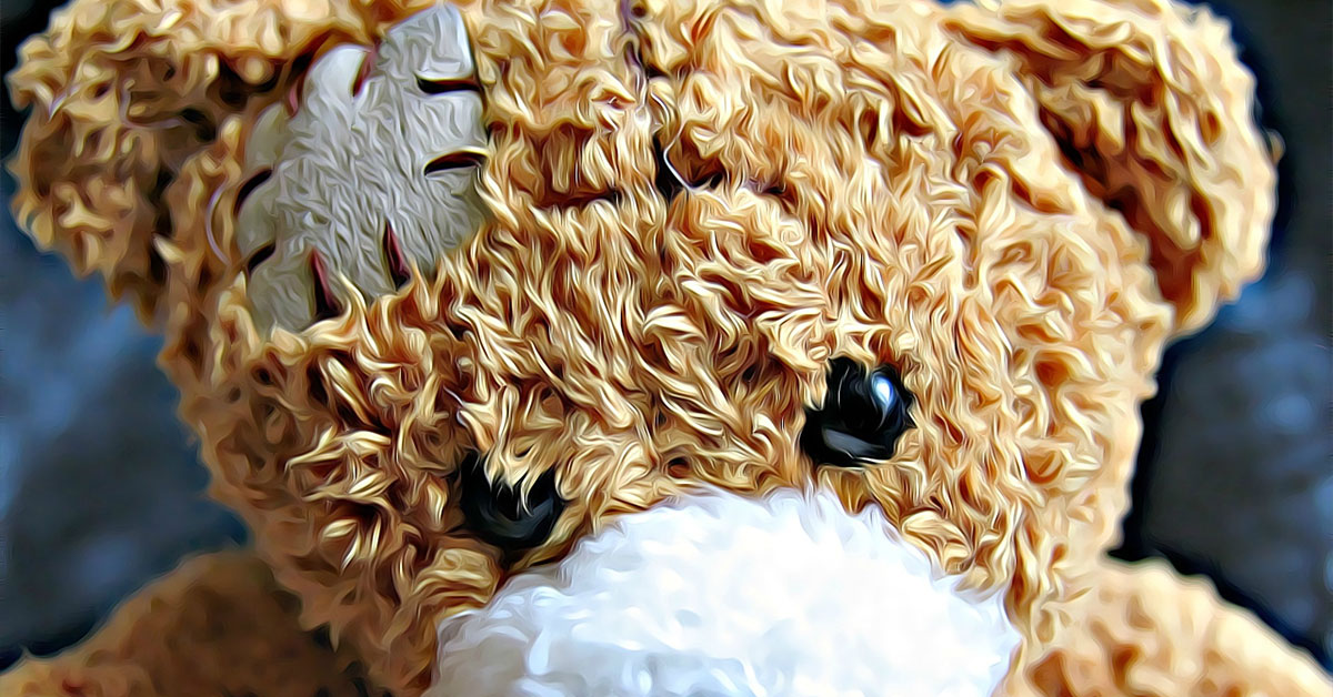 teddy bear worn