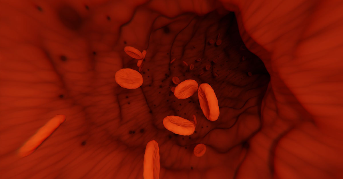 blood cell vein