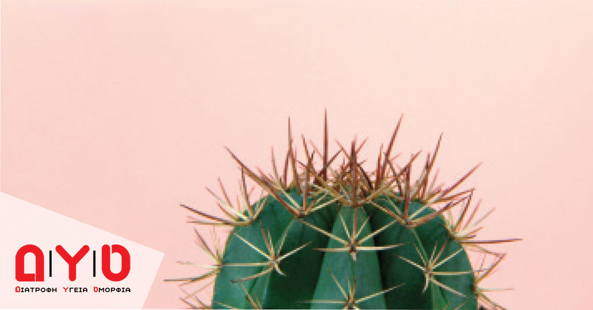 cactus