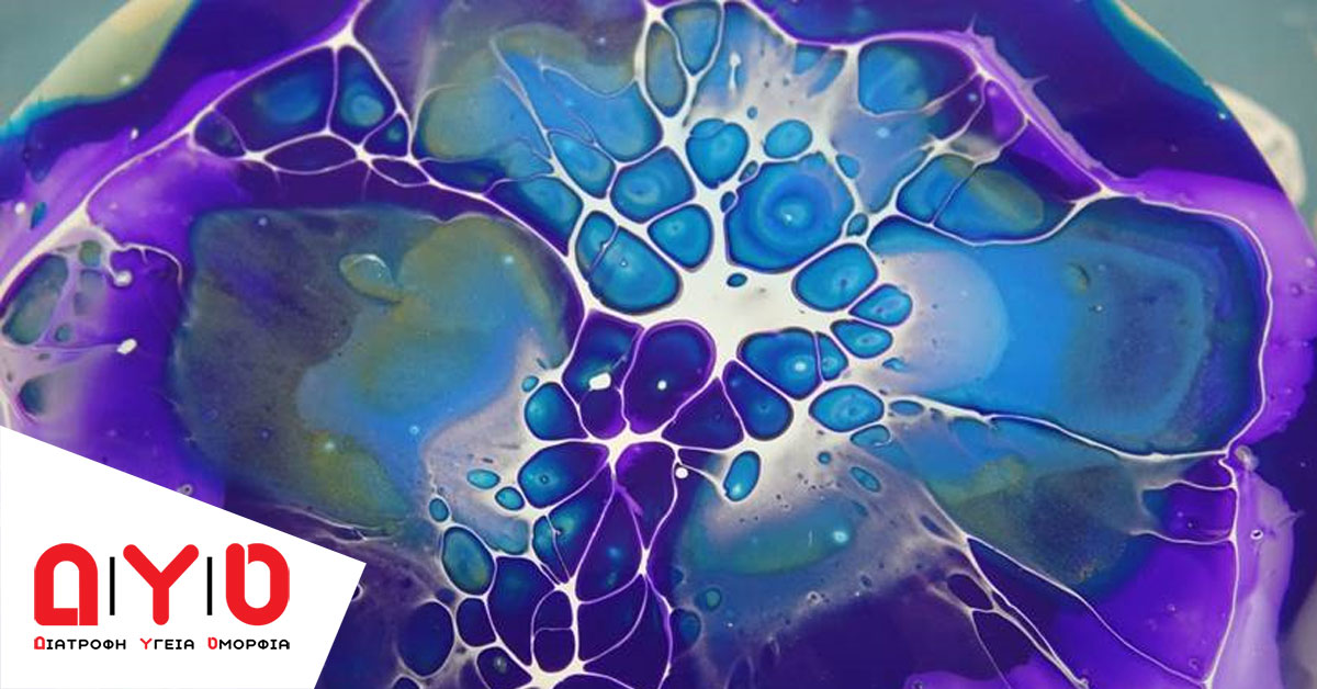 neural net