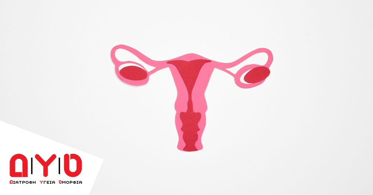 uterus 23