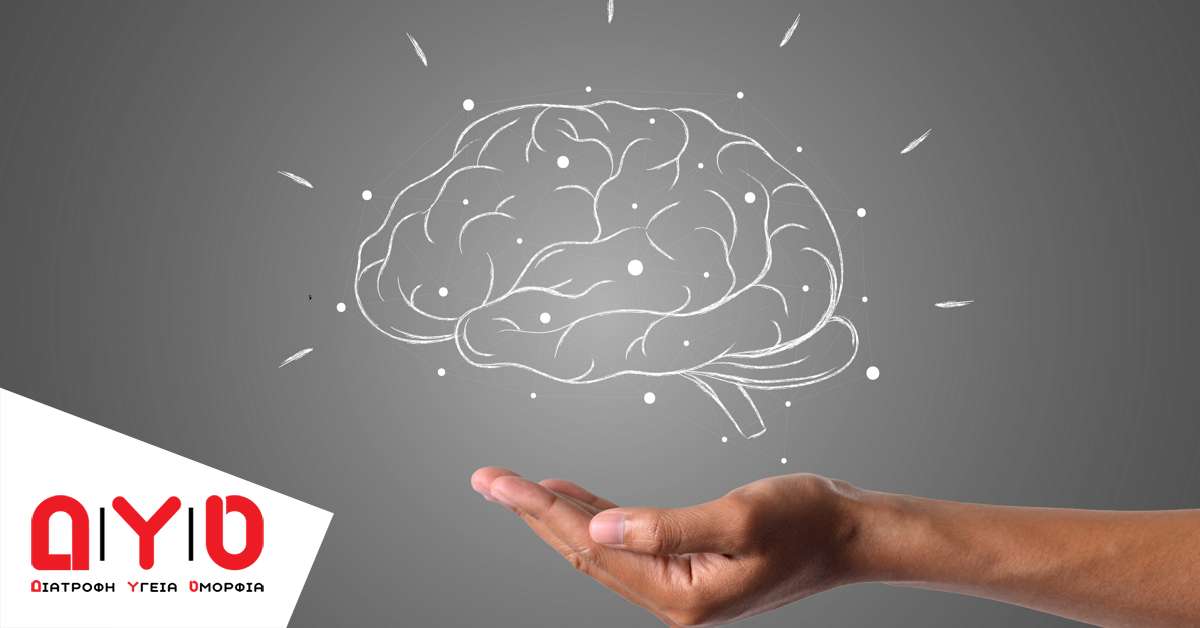 brain 2