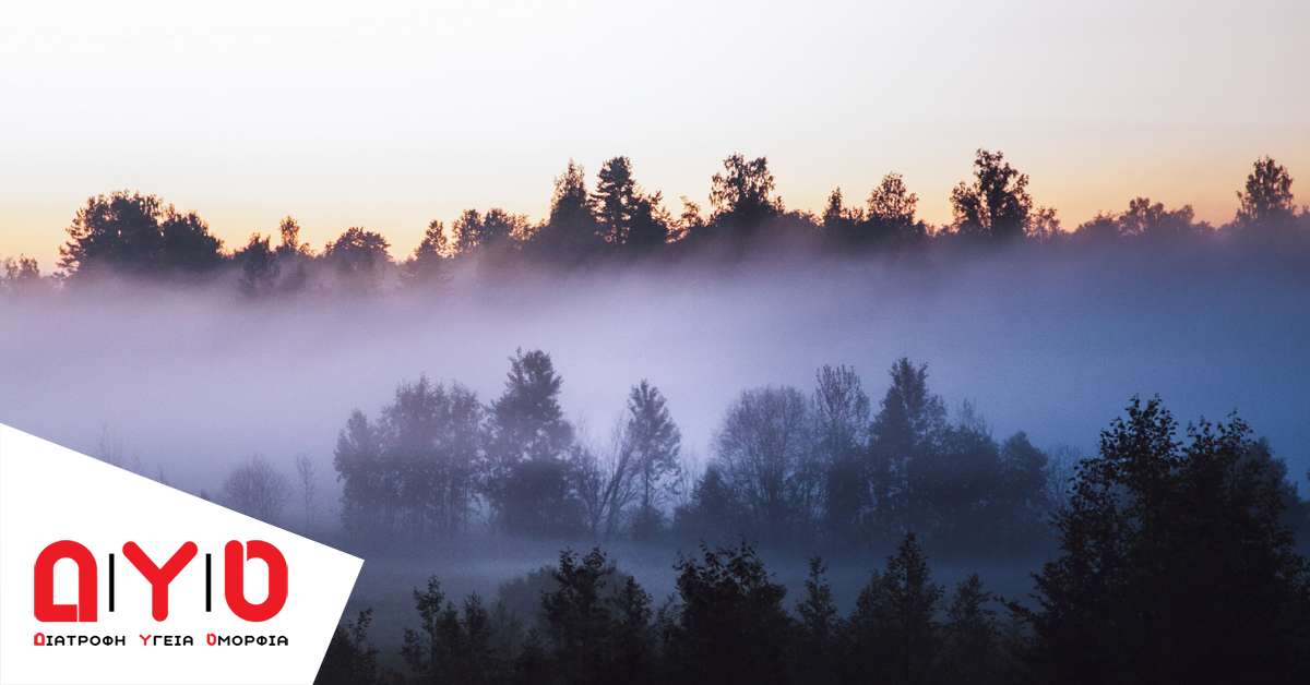 fog