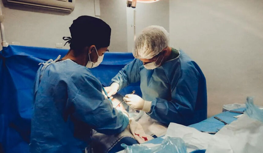 Απόλυτη επιτυχία για την Ιατρική Σχολή Αθηνών η πρώτη μεταμόσχευση ήπατος με μόσχευμα από συγγενή δότη
