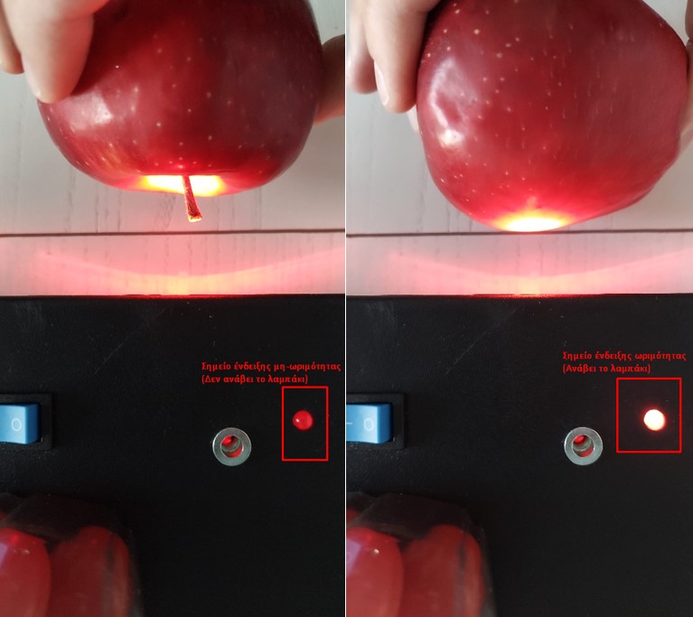 applelight