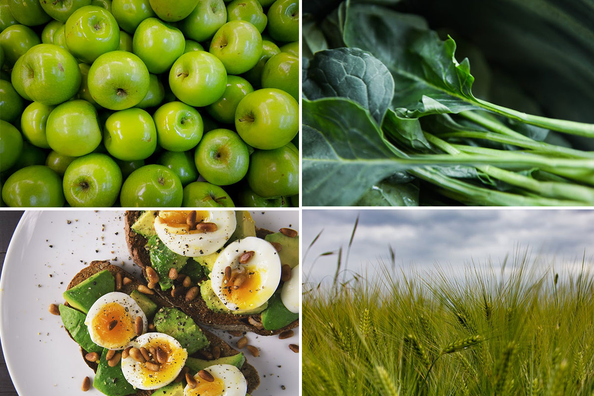 Healthy Foods, Women In Business &amp; Science