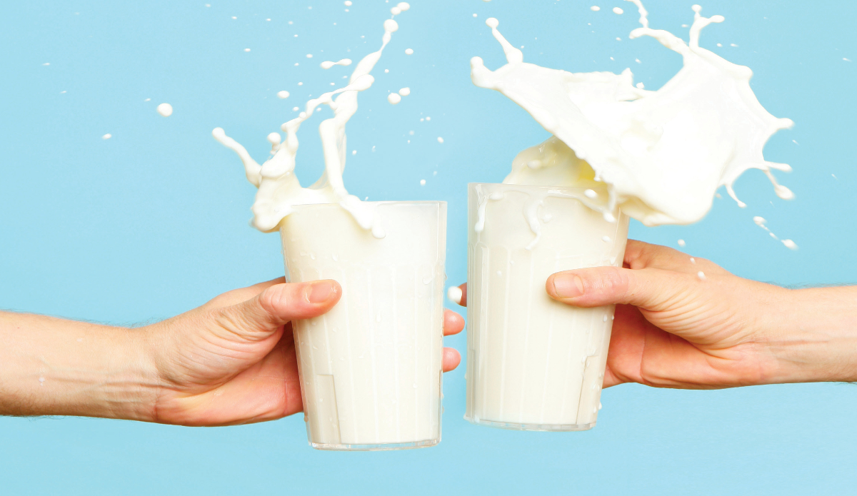 Kατσικίσιο γάλα: Ωφέλιμο & Γευστικό