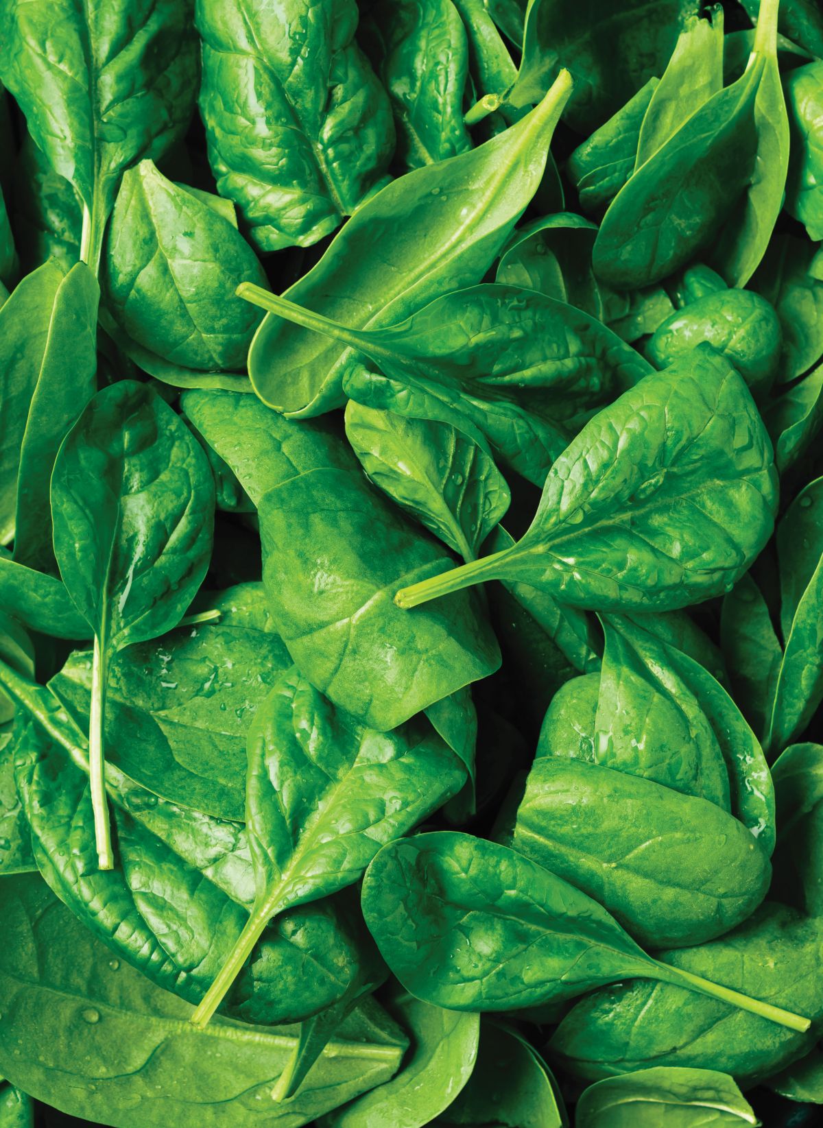 Η σημασία του σιδήρου στη διατροφή μας