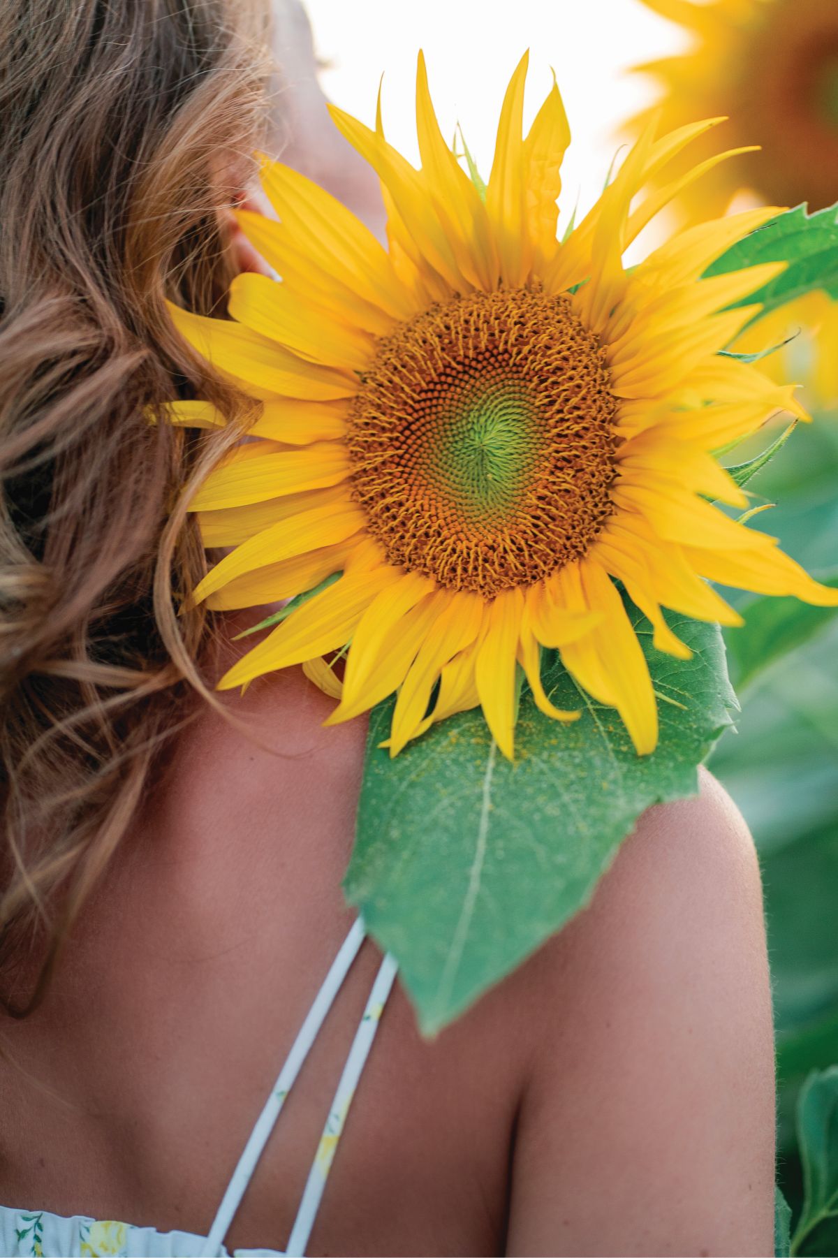 Έκθεση στον ήλιο χωρίς επιπτώσεις